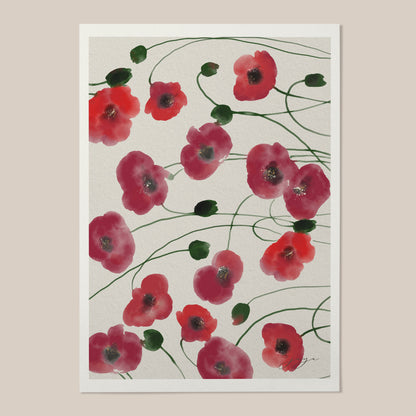 Poppies