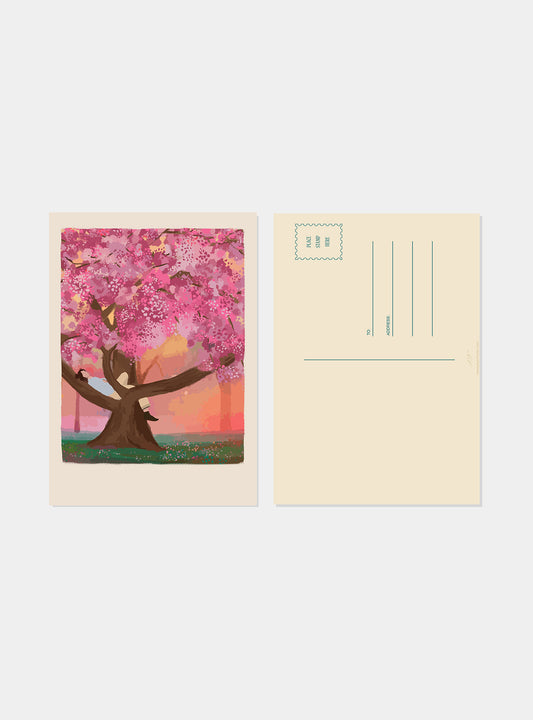 A Cubbon Tree, Bangalore Postcard