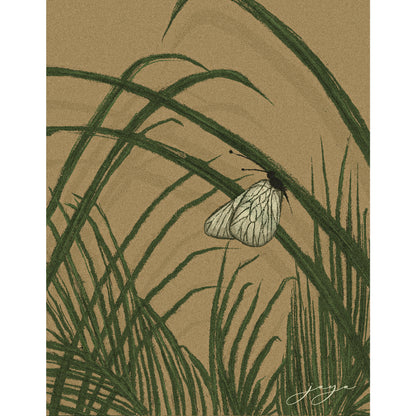 Palm Leaves and the Butterfly